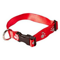 Polyester Dog Collar (Priority)